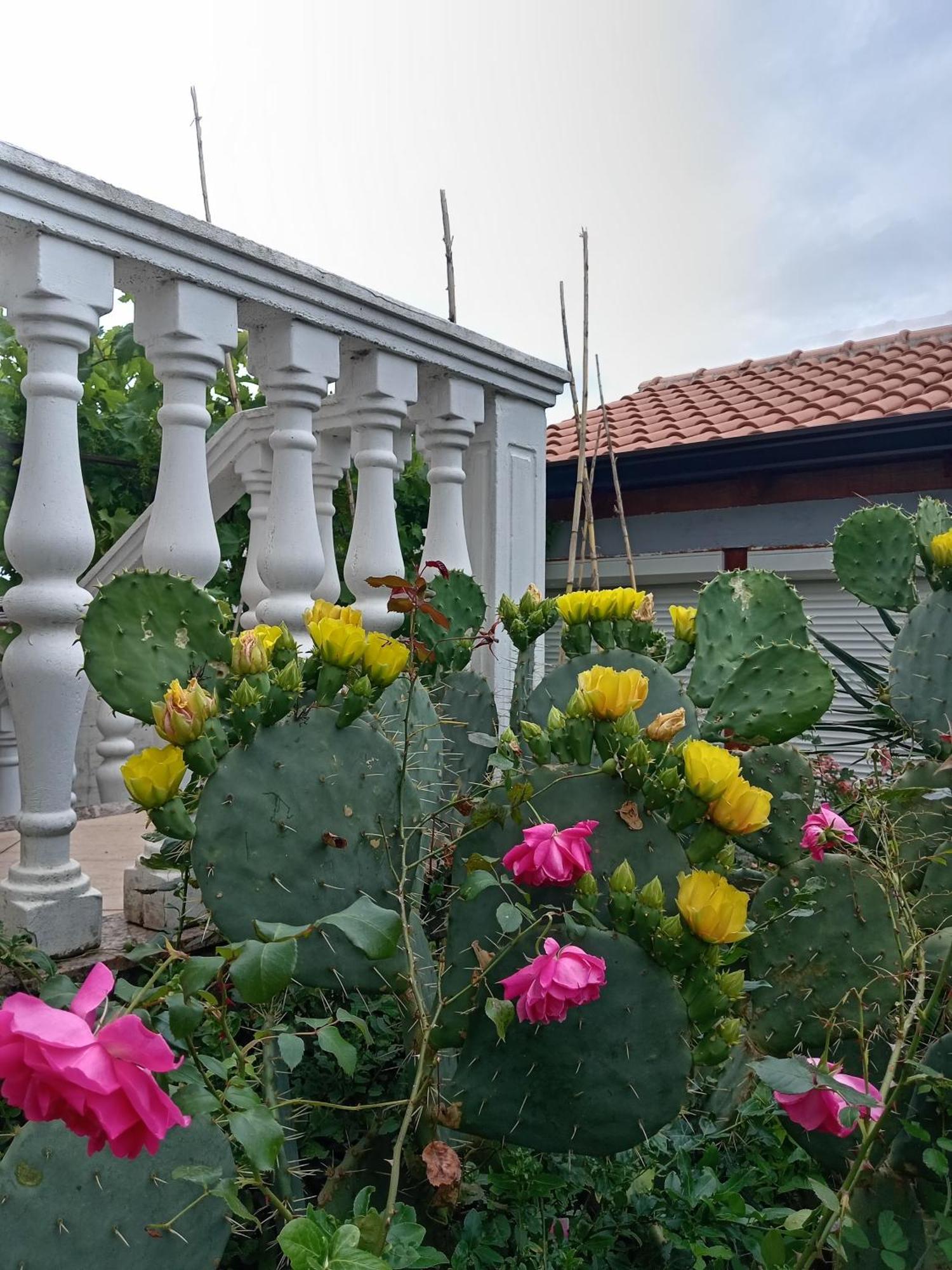 Ferienwohnung Lili Umag Exterior foto