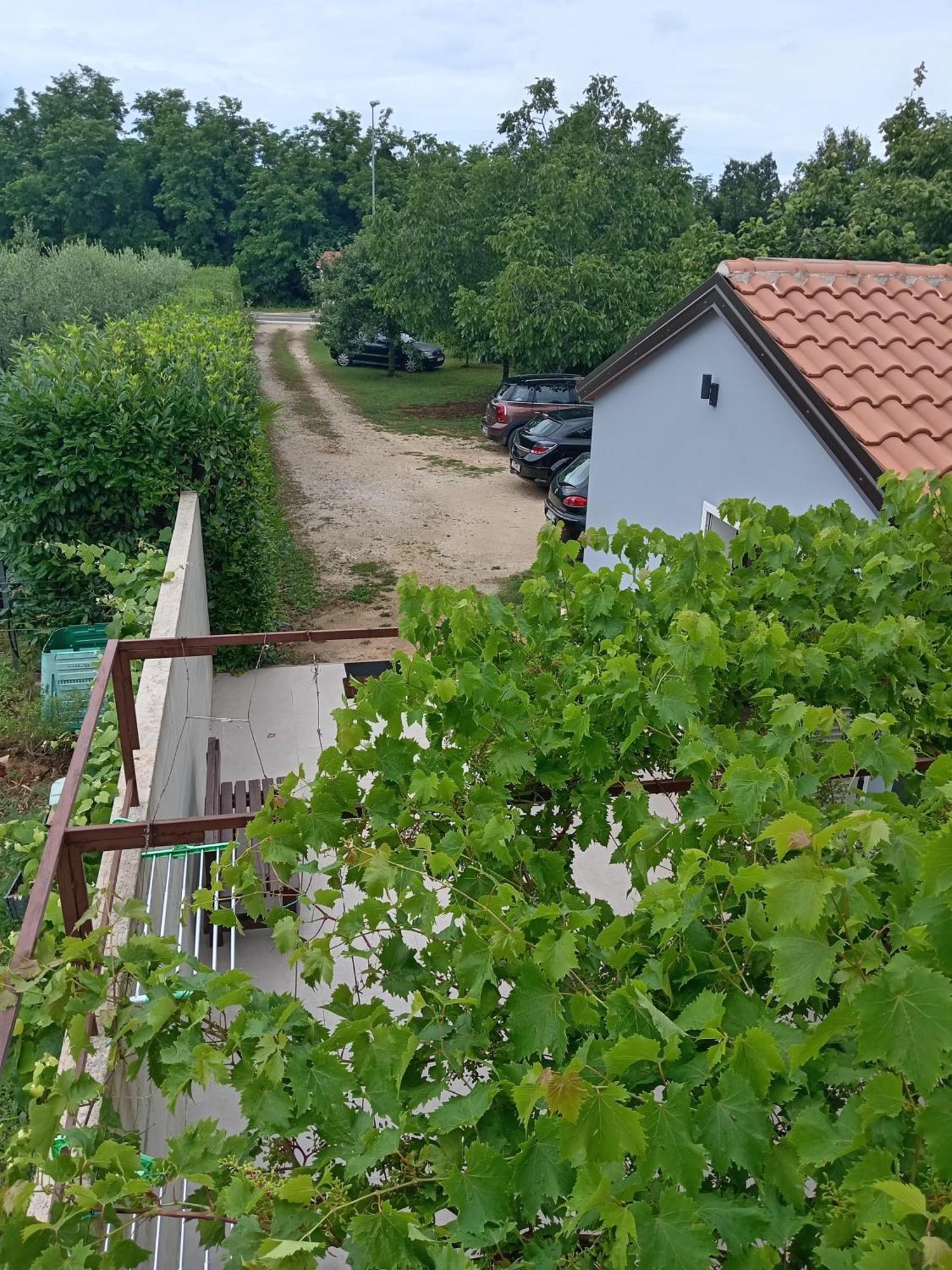 Ferienwohnung Lili Umag Exterior foto